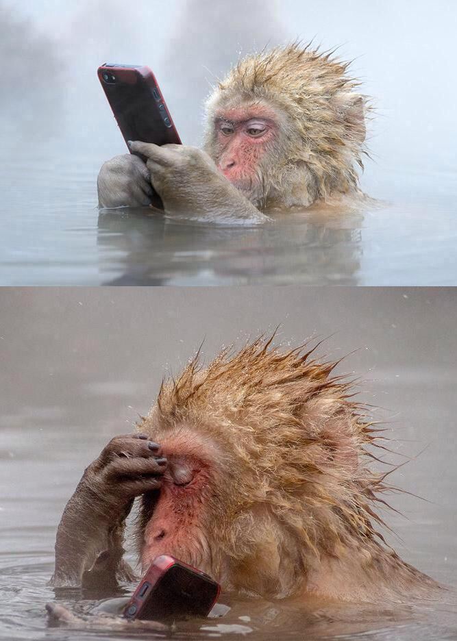 Monkey phone
