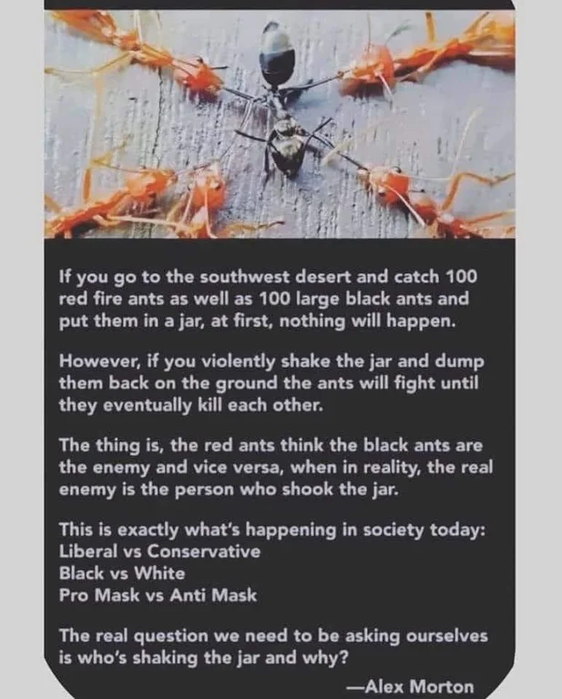 Fighting amongst ourselves